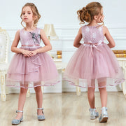 Girls Flower Dress New Summer Cute Baby Girls Clothes Tulle Lace Infant XMAS Party Clothing 1 Year Birthday Dress